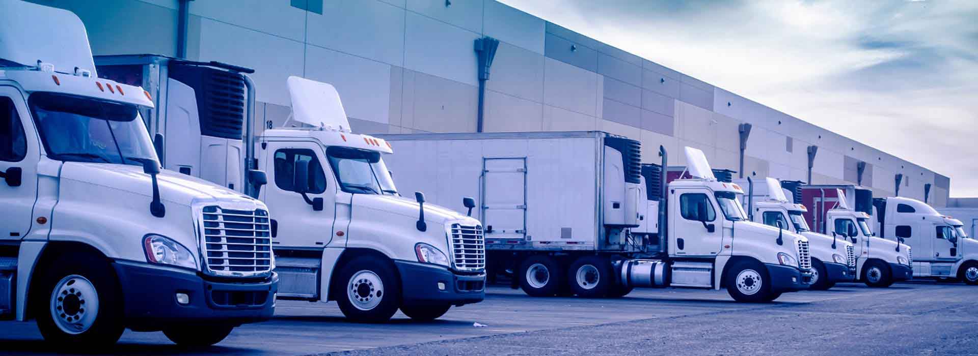 24cb60ffd44548168a7da504f35162e8